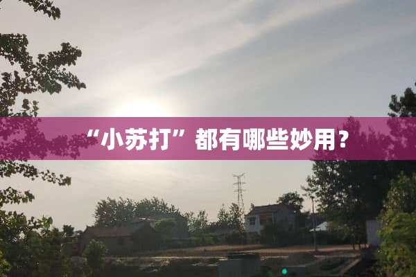 “小苏打”都有哪些妙用？