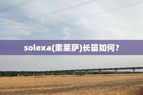 solexa(索莱萨)长笛如何？