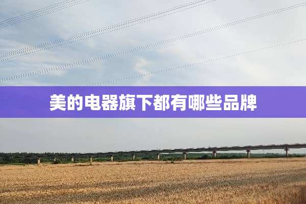 美的电器旗下都有哪些品牌
