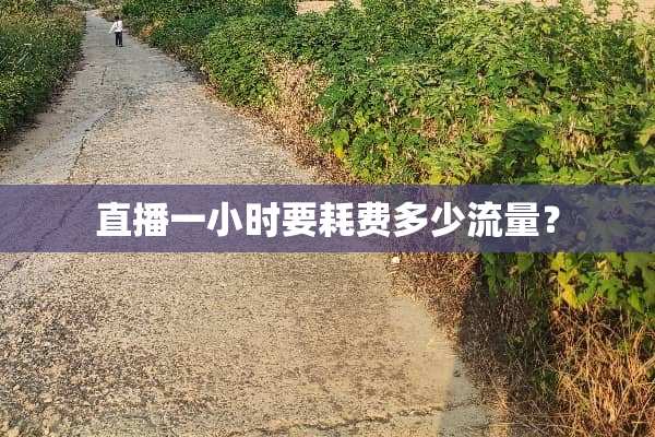 直播一小时要耗费多少流量？