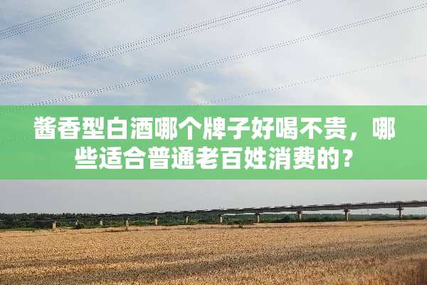 酱香型白酒哪个牌子好喝不贵，哪些适合普通老百姓消费的？