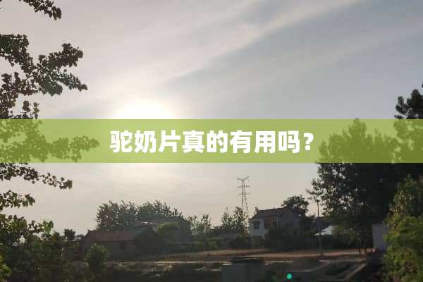 驼奶片真的有用吗？