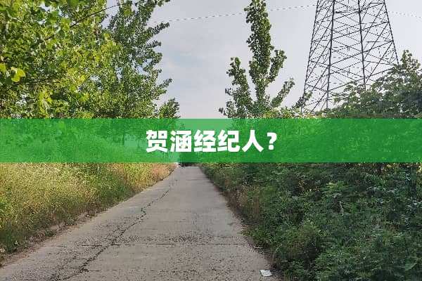 贺涵经纪人？