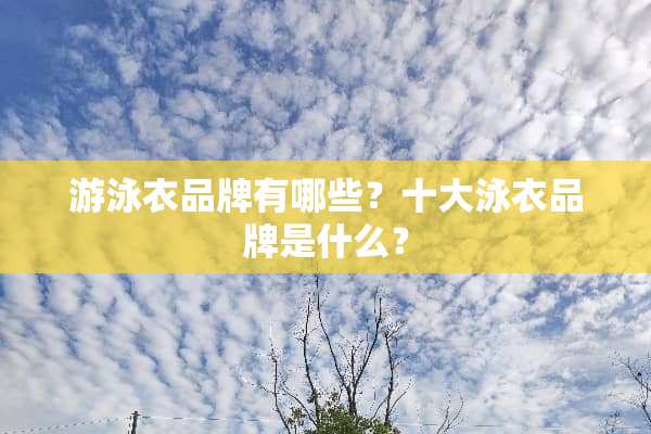 游泳衣品牌有哪些？十大泳衣品牌是什么？
