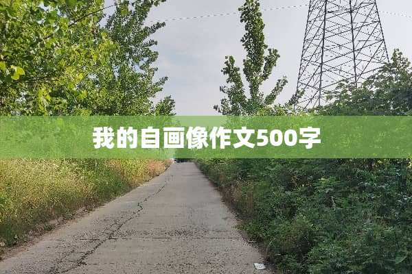 我的自画像作文500字
