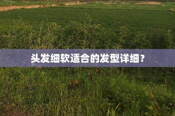 头发细软适合的发型详细？