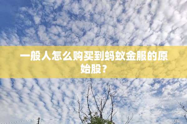 一般人怎么购买到蚂蚁金服的原始股？
