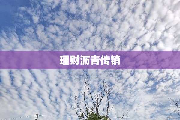 理财沥青传销