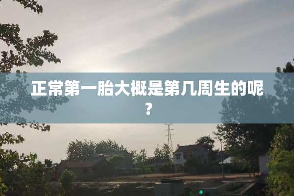 正常第一胎大概是第几周生的呢？