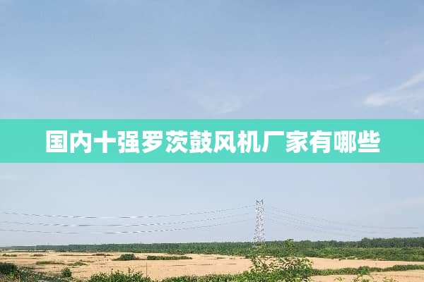 国内十强罗茨鼓风机厂家有哪些