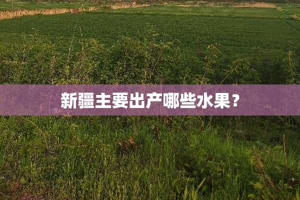 新疆主要出产哪些水果？