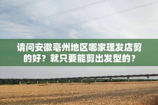 请问安徽亳州地区哪家理发店剪的好？就只要能剪出发型的？