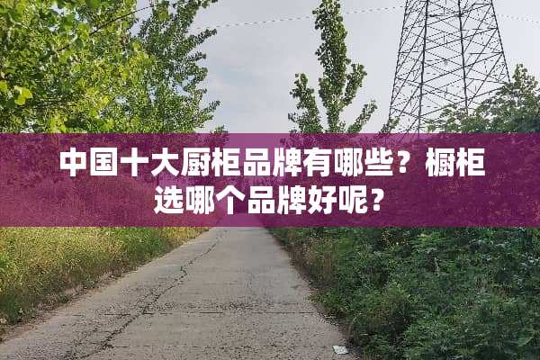中国十大厨柜品牌有哪些？橱柜选哪个品牌好呢？