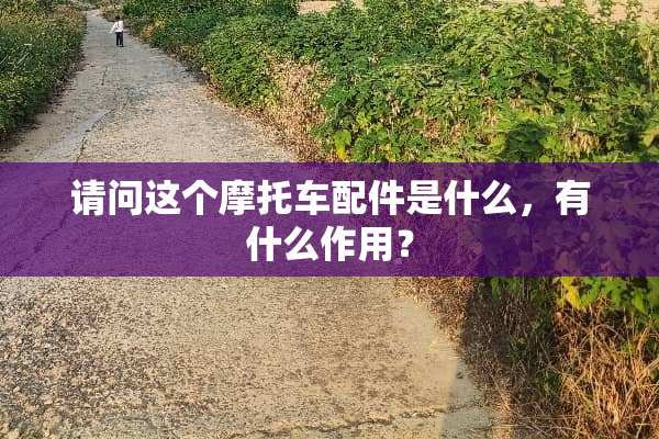请问这个摩托车配件是什么，有什么作用？