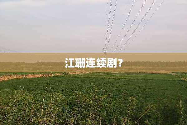 江珊连续剧？