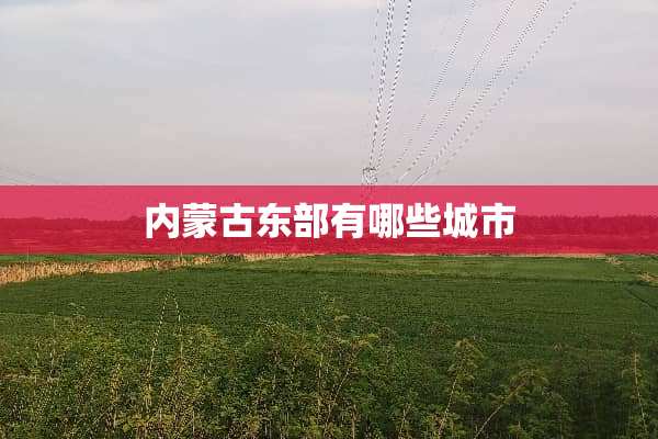 ***东部有哪些城市
