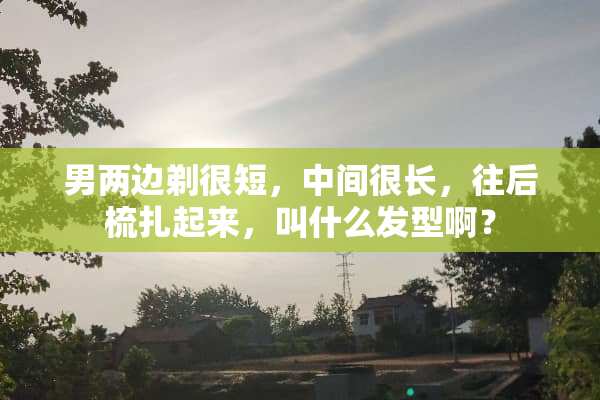 男两边剃很短，中间很长，往后梳扎起来，叫什么发型啊？