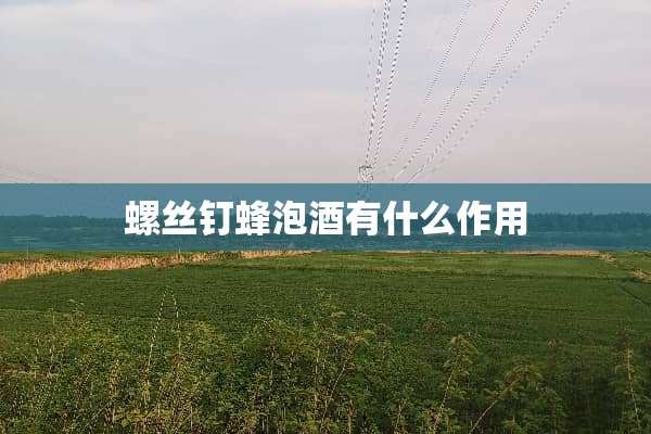 螺丝钉蜂泡酒有什么作用