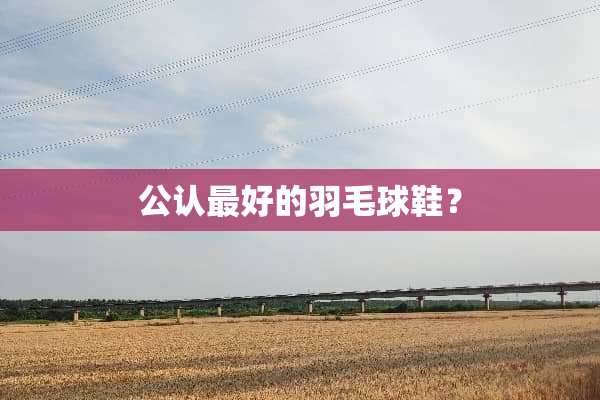 公认最好的羽毛球鞋？