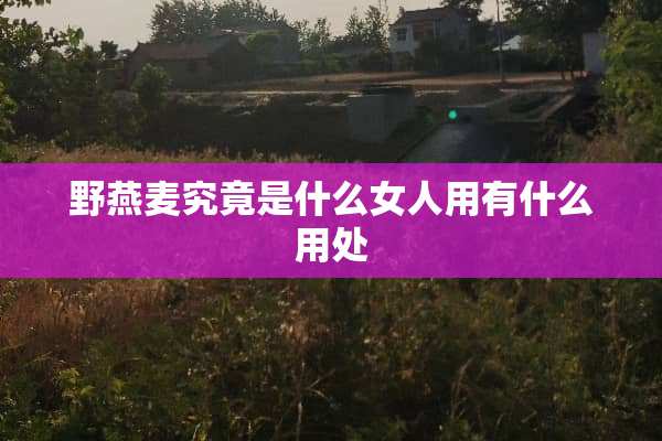 野燕麦究竟是什么女人用有什么用处