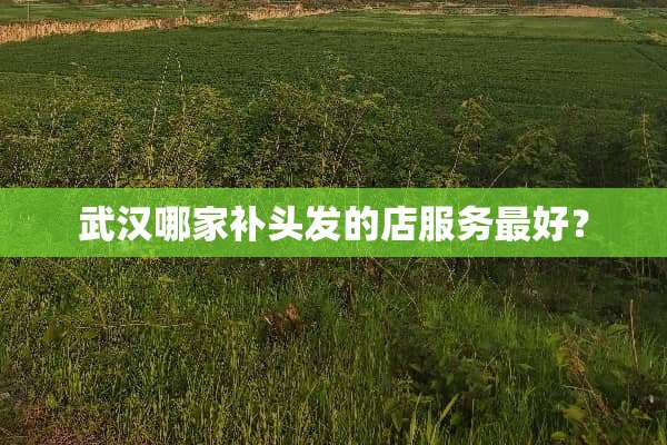 武汉哪家补头发的店服务最好？