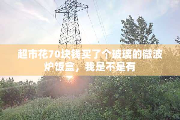 超市花70块钱买了个玻璃的微波炉饭盒，我是不是有