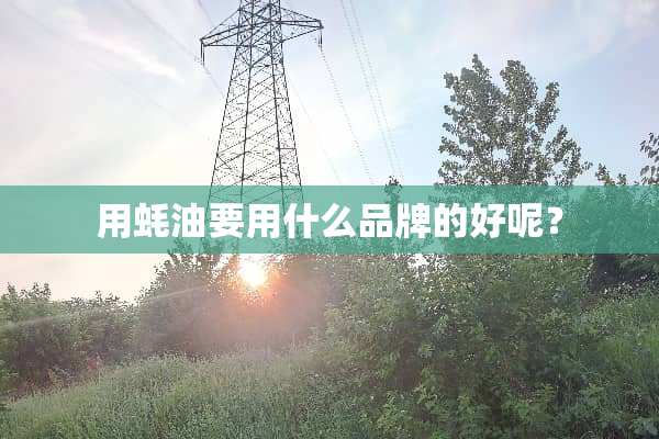 用蚝油要用什么品牌的好呢？