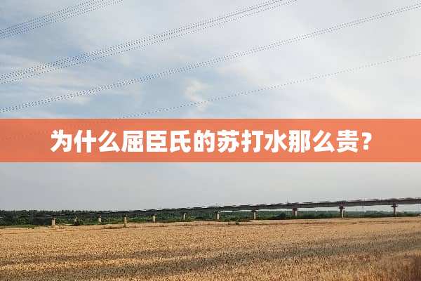 为什么屈臣氏的苏打水那么贵？
