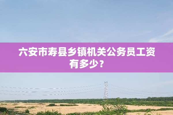 六安市寿县乡镇机关公务员工资有多少？