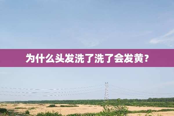 为什么头发洗了洗了会发黄？