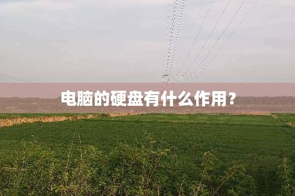 电脑的硬盘有什么作用？