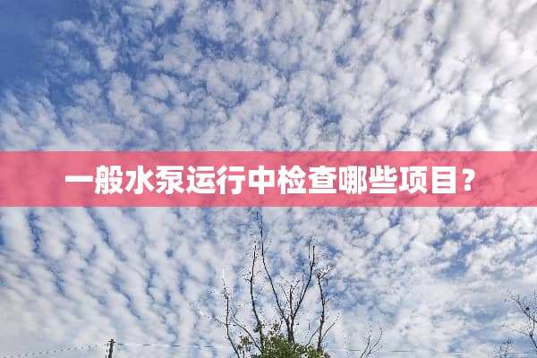 一般水泵运行中检查哪些项目？