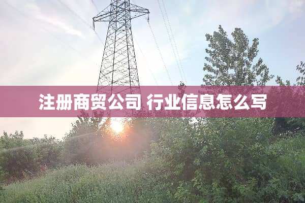 注册商贸公司 行业信息怎么写