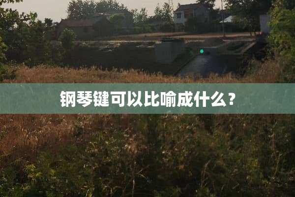钢琴键可以比喻成什么？