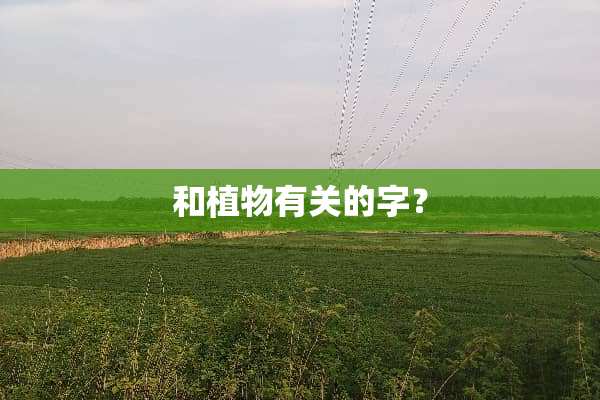 和植物有关的字？