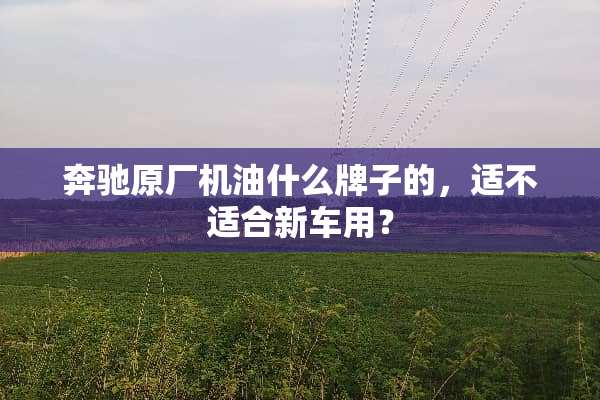 奔驰原厂机油什么牌子的，适不适合新车用？