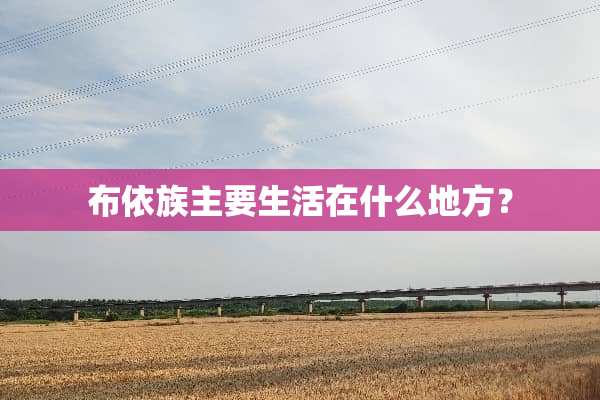 布依族主要生活在什么地方？