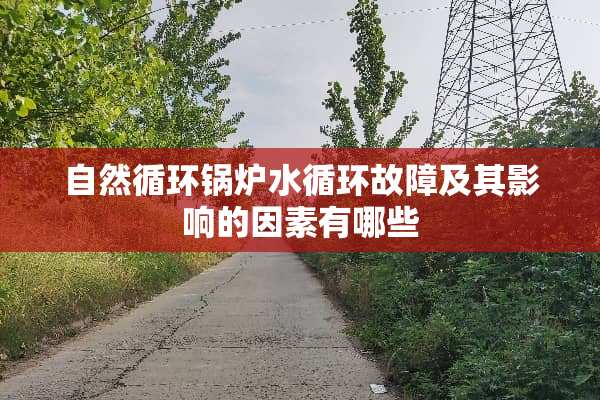 自然循环锅炉水循环故障及其影响的因素有哪些