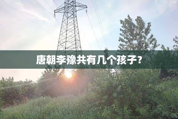 唐朝李豫共有几个孩子？