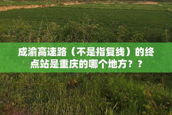 成渝高速路（不是指复线）的终点站是重庆的哪个地方？？