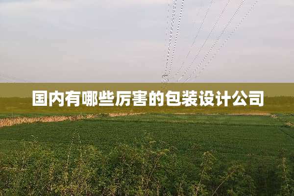国内有哪些厉害的包装设计公司