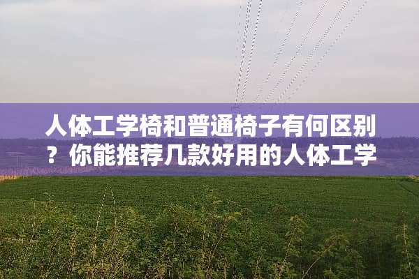 人体工学椅和普通椅子有何区别？你能推荐几款好用的人体工学椅吗？