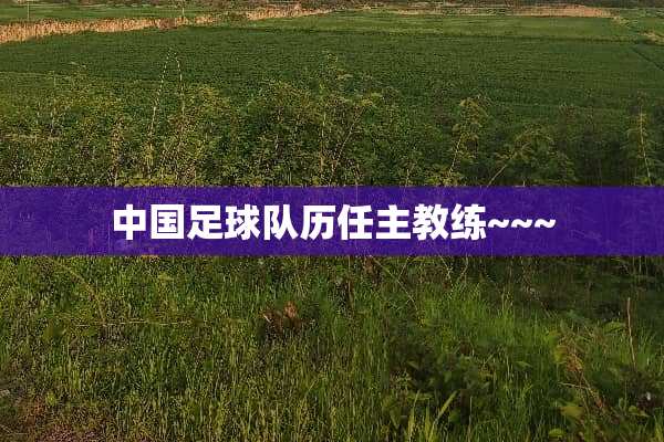 中国**队历任主教练~~~