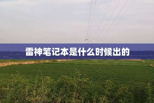 雷神笔记本是什么时候出的