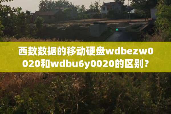 西数数据的移动硬盘wdbezw0020和wdbu6y0020的区别？