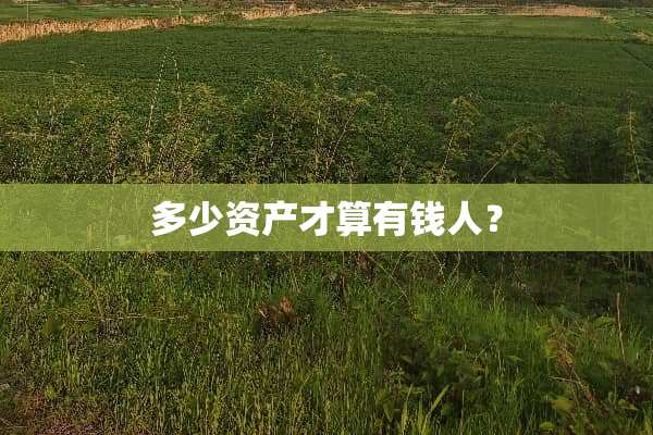 多少资产才算有钱人？