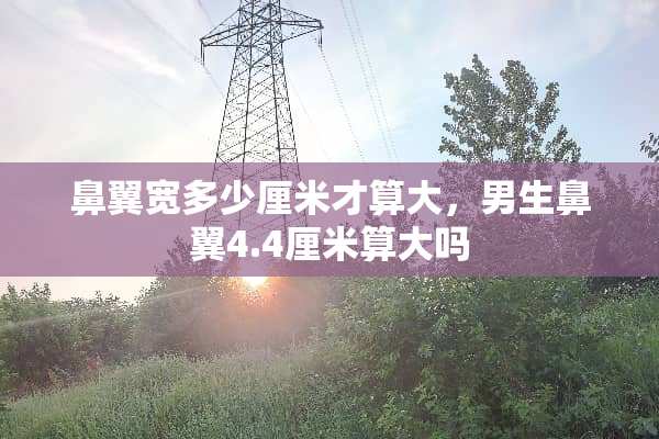 鼻翼宽多少厘米才算大，男生鼻翼4.4厘米算大吗