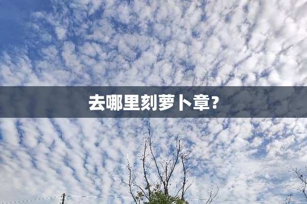 去哪里刻萝卜章？