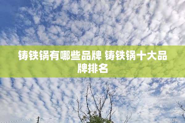 铸铁锅有哪些品牌 铸铁锅十大品牌排名