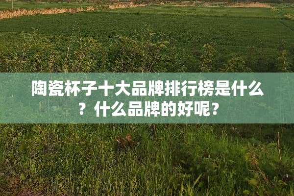 陶瓷杯子十大品牌排行榜是什么？什么品牌的好呢？